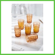 Bezos Akrilik Bal 6'lı Kısa Bardak & Su Meşrubat Kahve Yanı Bardağı 400 ml ( Cam Değildir ) Vengners
