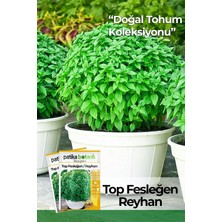Happy Trend Adet Yerli Ata Top Fesleğen - Top Reyhan (Ocimum Basilicum) Tohumu