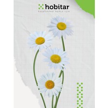 Happy Trend Hobitar Alman Papatyası Çiçek Tohumu - 375 Adet
