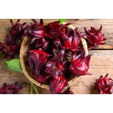 Happy Trend Tohumu 10+ Adet – Hibiscus Sabdariffa – Ekşi Aromalı Şifalı Bitki – Saksı & Bahçe Yetiştiriciliğine Uygun
