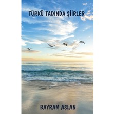 Platanus Publishing Türkü Tadında Şiirler