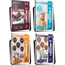 Modadil YKSDİL Soru Canavarı Seti (4 Kitap) Modadil Yayınları