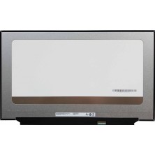 Afila Asus Rog Strıx Scar G733QS-XS98Q Uyumlu Uyumlu LCD Ekran, Panel