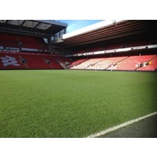 Rafta 5 kg Sparring Çim Tohumu, Sağlıklı ve Hızlı Büyüme Için Uygun