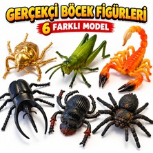 LRS Store Dev Boy 6'lı Gerçekçi Böcek Oyuncak Seti 13 cm Örümcek Akrep Çekirge Böcek Figürleri Eğitici Eğlenceli Oyuncak