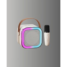 Milas Toptan Kompakt Karaoke Mikrofon Seti 10W Bluetooth Hoparlör