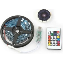 Milas Toptan mt Rgb Şerit LED Iç Mekan Palmiye Model