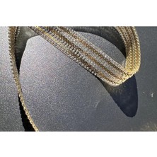 Karaaslan Pullu Taşlı Şerit 2.5 cm 1 Metre