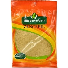 Hasat Ambarı Hasatambarı Zencefil 25 gr (10'li Paket)