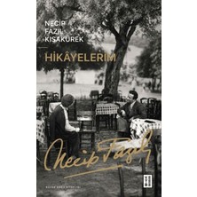 Fumeyabi Hikayelerim