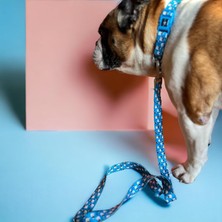 Str Store Design Köpek Gezdirme Kayışı – Geri Dönüştürülmüş, Kadifemsi Dokulu, Çift Kilitli Karabina Kanca, 360° Dönüşlü, Dayanıklı & Şık Tasarım, Cute, Small