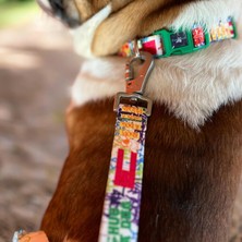 Str Store Design Köpek Gezdirme Kayışı – Geri Dönüştürülmüş, Kadifemsi Dokulu, Çift Kilitli Karabina Kanca, 360° Dönüşlü, Dayanıklı & Şık Tasarım, Beyaz,small