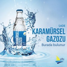 Karamürsel Gazozu Karamürsel Klasik Gazoz 250 ml (24'lü Koli)