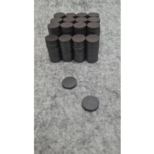 Karaaslan Yuvarlak Kömür Mıknatıs 17 x 3 mm (350 Adet)