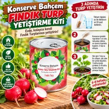 Eseno Select Konserve Bahçem Evde Konservede Fındık Turp Yetiştirme Kiti