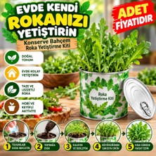 Eseno Select Evde Konservede Iri Yapraklı Roka Yetiştirme Kiti (Adet Fiyatıdır)