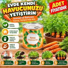 Eseno Select Konserve Bahçem Evde Konservede Havuç Yetiştirme Büyütme Kiti