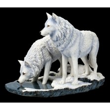 Veronese Koleksiyon Su Içen Kurt Figürü 26CM