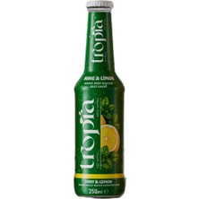 Tropia Nane & Limon Aromalı Gazoz 250 ml (24'lü Koli)