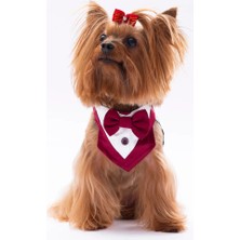 Pawstar Köpek Smokin Fular