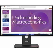 23.8 Lenovo Thınk T24D-40 64B9GAT1TK 4ms 120Hz