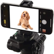 Str Store AX-SP01 Telefon Tutucu – Tripod ve Monopod Uyumlu, Çift 1/4” Vida Girişi, Hotshoe Yuvalı, Ayarlanabilir Akıllı Telefon Aparatı