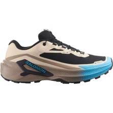 Salomon Genesis 2 Gtx L49302000 Kahverengi Koşu&yürüyüş Ayakkabısı