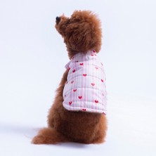 Pawstar Moyo Pembe Çizgili Kalp Desen Yelek Köpek Yeleği Köpek Kıyafeti Köpek Yağmurluk