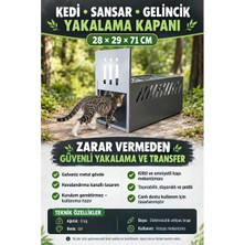 Volkan Ziraat Mühendislik Kontrollü Hayvan Yakalama: Tavuk Hızlı Tetiklemeli Kafes Galvaniz Metal 70X27X30 Cm, Canlı ve Zararsız Yakalama, Taşıma Kulpları