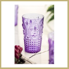 Bezos Akrilik Mor Tekli Uzun Bardak & Su Meşrubat Bardağı 750 ml ( Büyük Boy & Cam Değildir ) Za