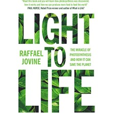 Str Store Light To Life: The Miracle Of Photosynthesis And How It Can Save The Planet