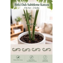 ToXA 4 Adet 2 Kollu Bitki Destek ve Gövde Sabitleme Klipsi | Bitki Tutucu Kanca | Çiçek Desteği | Saksı Bitkisi Sabitleyici