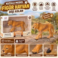 Urfakent Kutulu Model Figür Hayvan Dişi Aslan (Adet Fiyatıdır)