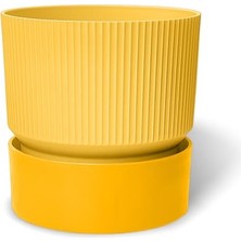 Ceylan Adam Iksora Saksı Dekoratif Tabaklı Çiçek Kaktüs Saksısı Mat Plastik (1 Adet, Sarı, 0.4 L)