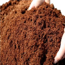 Rafta Kuzey's Store Hindistan Coco Cevizi (Sıkıştırılmış Blok) TORFU%100 Organik Doğal Cocopeat Bitki TOPRAĞI,600-650 Gram (8/9 Litre)