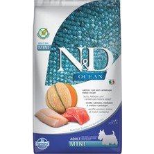 N&d Ocean Mini Somonlu Morina Balıklı ve Kavunlu Tahılsız Küçük Irk Yetişkin Köpek Maması 2,5kg