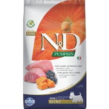 N&d Pumpkin Mini Bal Kabaklı Kuzulu ve Yaban Mersinli Küçük Irk Tahılsız Yetişkin Köpek Maması 2,5kg