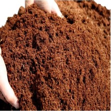 Vionna 100% Organik Hindistan Cevizi Torfu, 600-650 Gram Ağırlığında