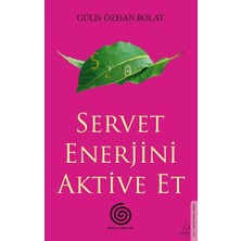 Destek Yayınları Servet Enerjini Aktive Et