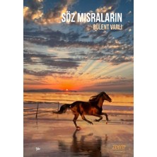 Zerre Kitap Söz Mısraların