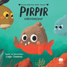 Uçan Fil Yayınları Pırpır Sakinleşiyor - Ciltli