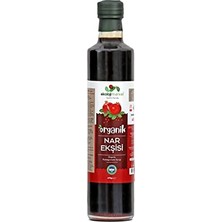 Toptan Budur Organik Nar Ekşisi 670 G
