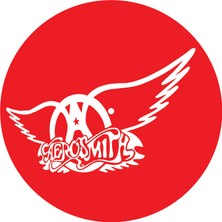 Çıtırtılı Sesler Aerosmith Pikap Matı