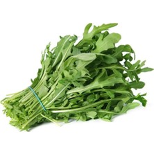 Marsilyan Roka Tohumu 10 gr