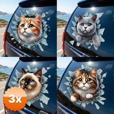 Pazarcan 3 Adet Fulcar Kedi Tasarımlı Araç Stickerı 10x10 cm 4 Model Karışık