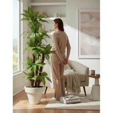 Erhan Flowers Yapay Dracaena 180 cm - 3 Gövdeli Zebra Desenli Yapay Ağaç Beyaz Plastik Saksı