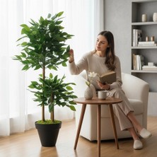 Erhan Flowers Yapay Çiçek Siyah Saksıda Benjamin Salon Balkon Ev Ağacı Yeşil Bitkisi Bambu Gövdeli Dolgun 125 cm