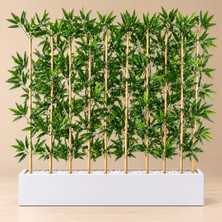 Erhan Flowers 100 cm Mdf Saksıda 10 Adet 150 cm Bambu Separatör Beyaz Saksı