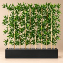 Erhan Flowers 100 cm Mdf Saksıda 10 Adet 200 cm Bambu Separatör Siyah Saksı
