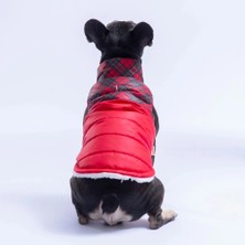 Pawstar 26107 Kırmızı Plaid Küçük Irk Köpek Yağmurluk Yelek
